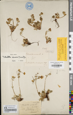 LE 01035783