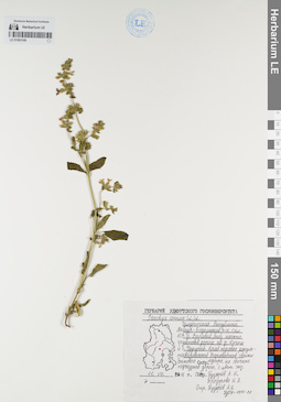 LE 01063169