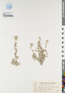 LE 01106170