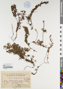 LE 01118485