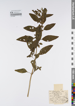 LE 01120329