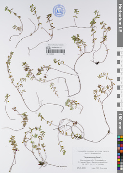 LE 01120330