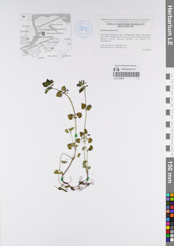 LE 01120344