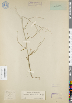 LE 01043508