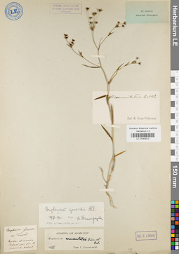 LE 01043512