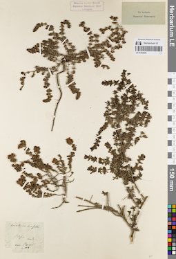 LE 01162439