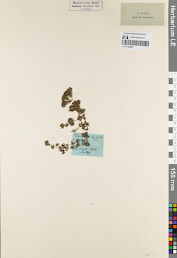 LE 01162440