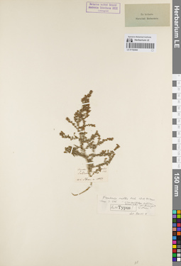 LE 01162444