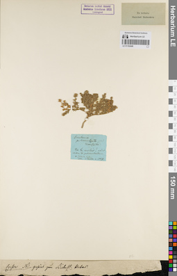 LE 01162446