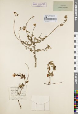 LE 01162460