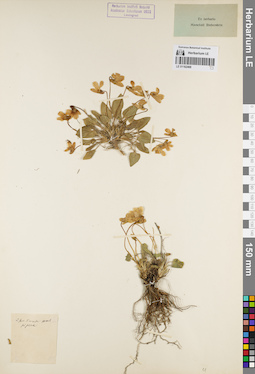 LE 01162468