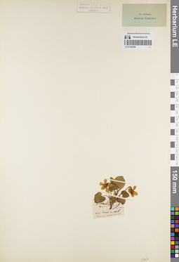 LE 01162505
