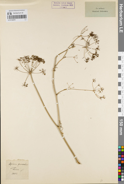 LE 01162579