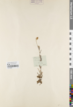 LE 01180768