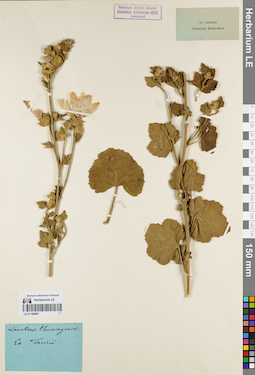 LE 01180881