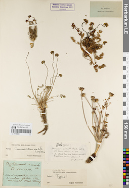 LE 01180882