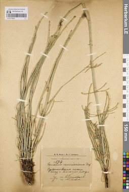 LE 01172043