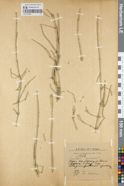 LE 01172045