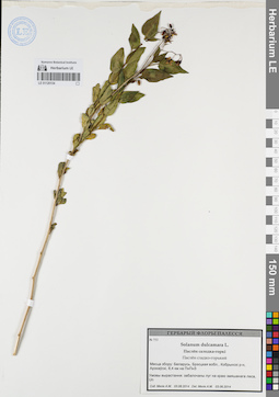 LE 01120134