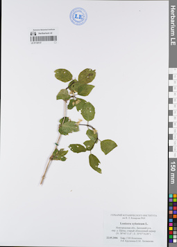LE 01120137