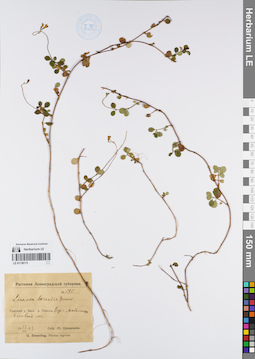 LE 01138173