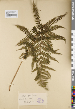 LE 01171928