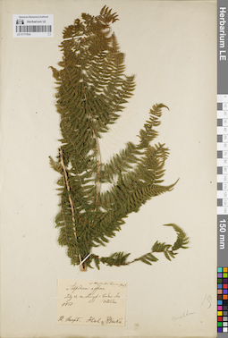 LE 01171934