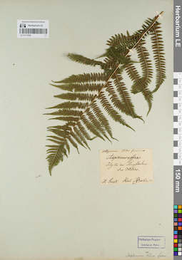 LE 01171938