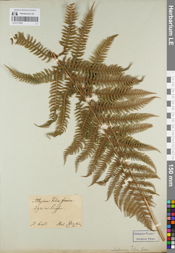 LE 01171939