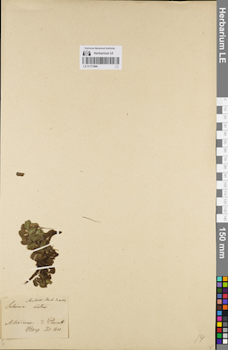 LE 01171944