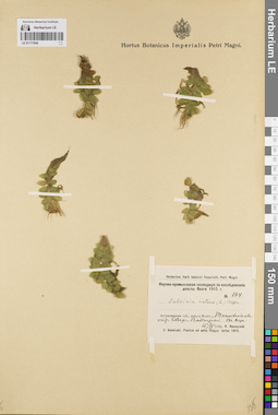 LE 01171956