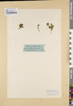 LE 01171958