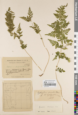 LE 01172141