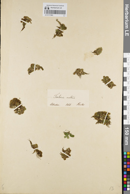 LE 01171963