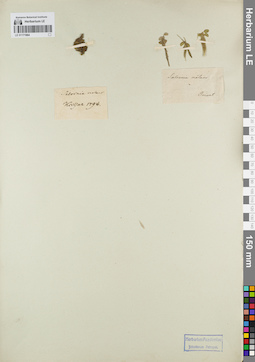 LE 01171964