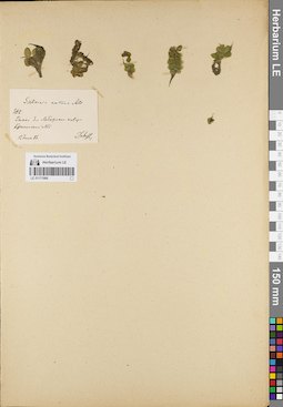 LE 01171966