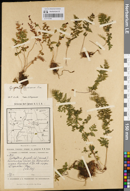LE 01172148