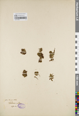 LE 01171970