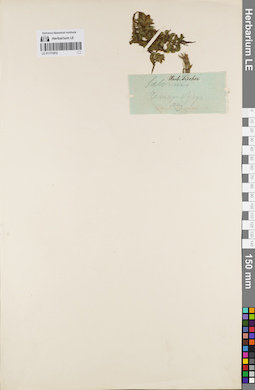 LE 01171972