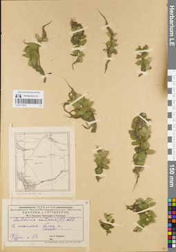 LE 01171974