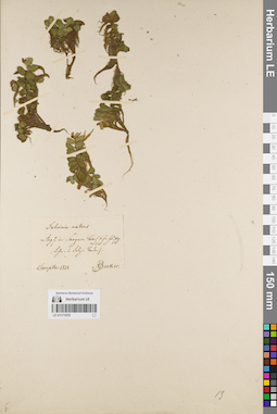 LE 01171979