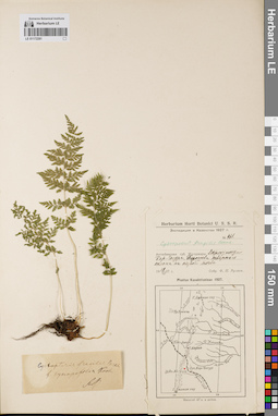 LE 01172281