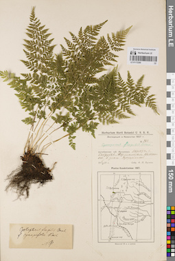 LE 01172285