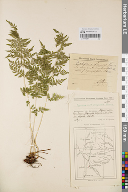 LE 01172287