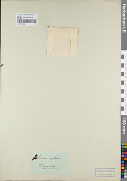 LE 01171984