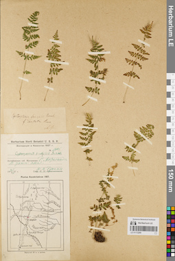 LE 01172290