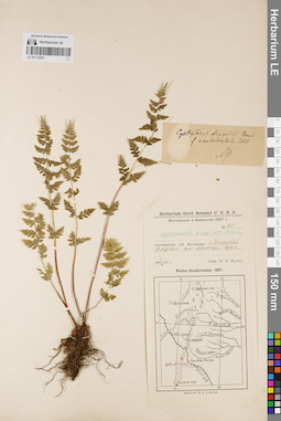 LE 01172291