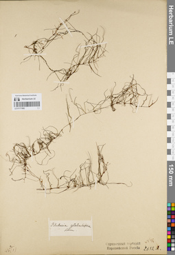 LE 01171992