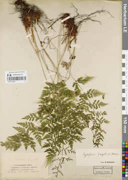 LE 01172345
