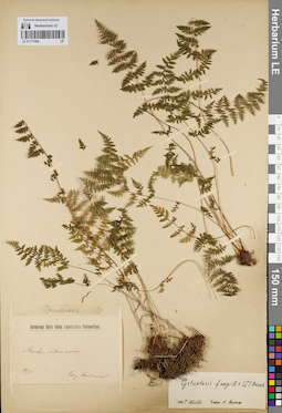 LE 01171900